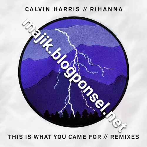 ThisIsWhatYouCameFor28featRihann5BRewm.j